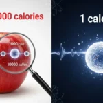 difference between kcal and calories